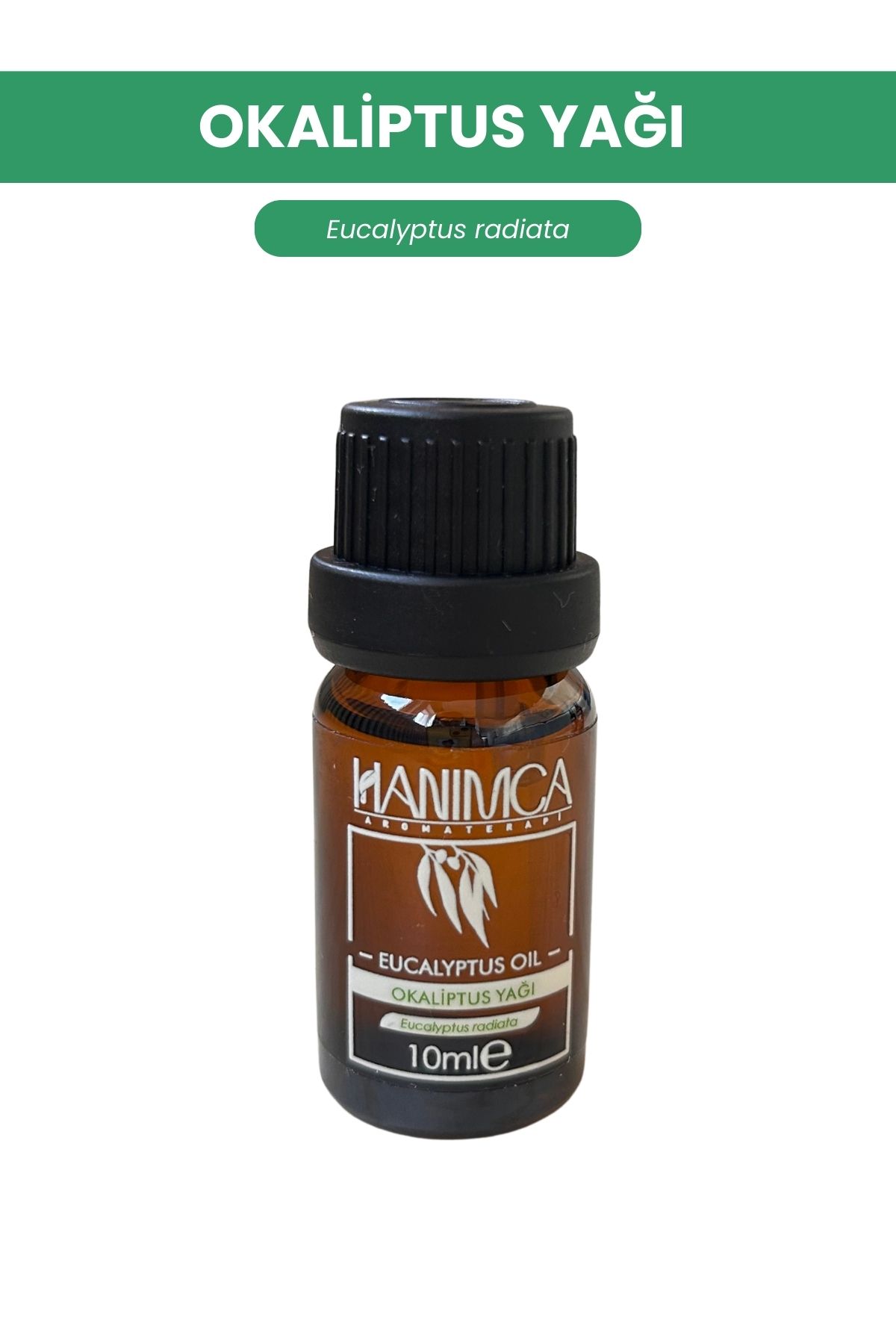 Okaliptus Yağı 10ml (Radiata)